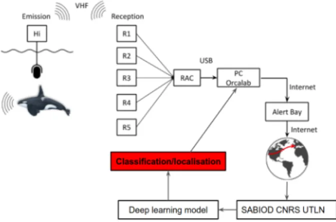 Figure 5. Representation of the data acquisition, from recording until the detection and the localisation of the  or-cas.