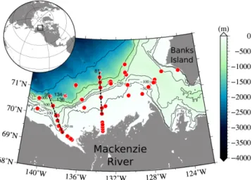 Fig. 1. Location of sampling stations for the MALINA cruise in the Southern Beaufort Sea, Canadian Arctic
