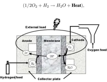 Fig. 1. PEM Fuel Cell