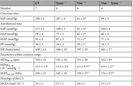 Table 1.  Blood pressure, mechanical properties and composition of the carotid artery Values are means  ± SEM; 