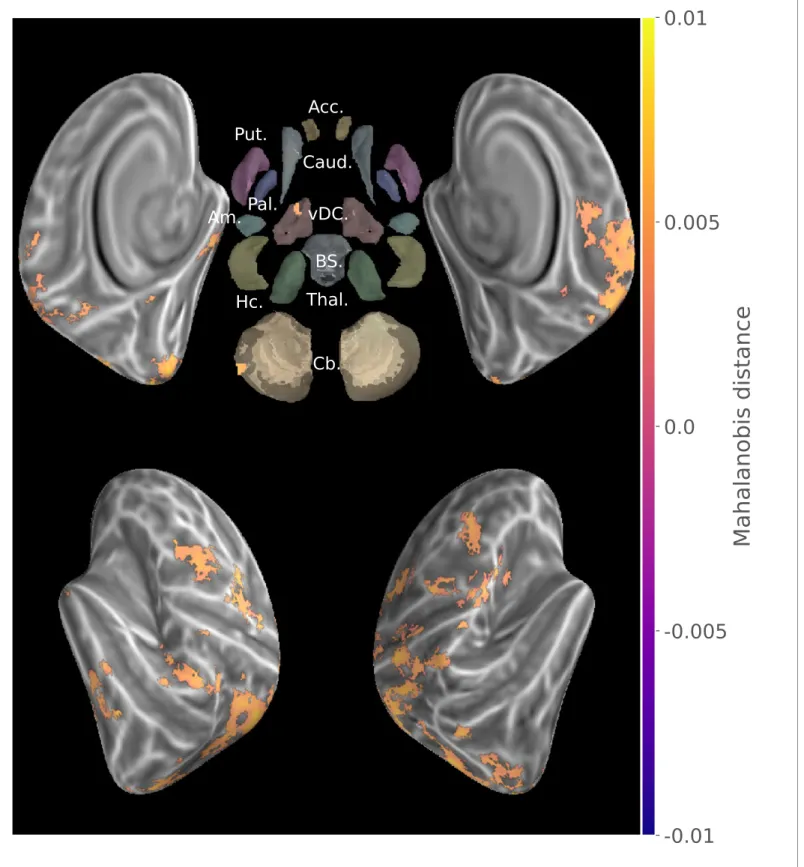 Figure 2. Group searchlight conjunction of new and consolidated sequences discriminability maps (z-score thresholded at p &lt; .05 TFCE-cluster- TFCE-cluster-corrected) showing a large distributed set of cortical regions showing sequence disciminative patt
