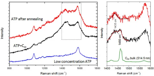 Figure 4: Left: SERS signal of PATP+C 60  SAM (black), PATP after annealing in toluene (red) and low  concentration PATP SAM (10 -5  mol/L, 1 minute dipping in blue)