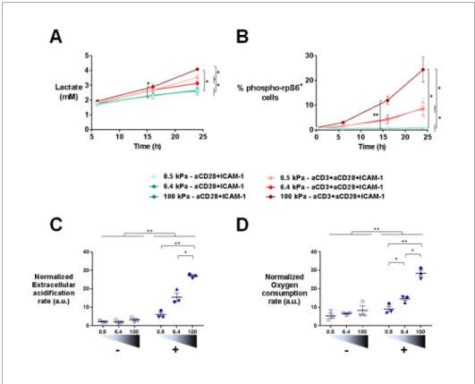 Figure supplement 1. Phospho-rpS6 and metabolism: additionnal data.