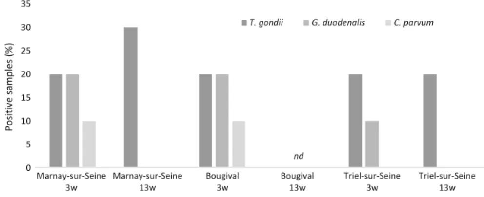 Fig. 4 Percentage of zebra mussels positive for T. gondii, G. duodenalis or C. parvum after 3 and 13 weeks of caging at Marnay, Bougival and Triel (n ¼ 10)