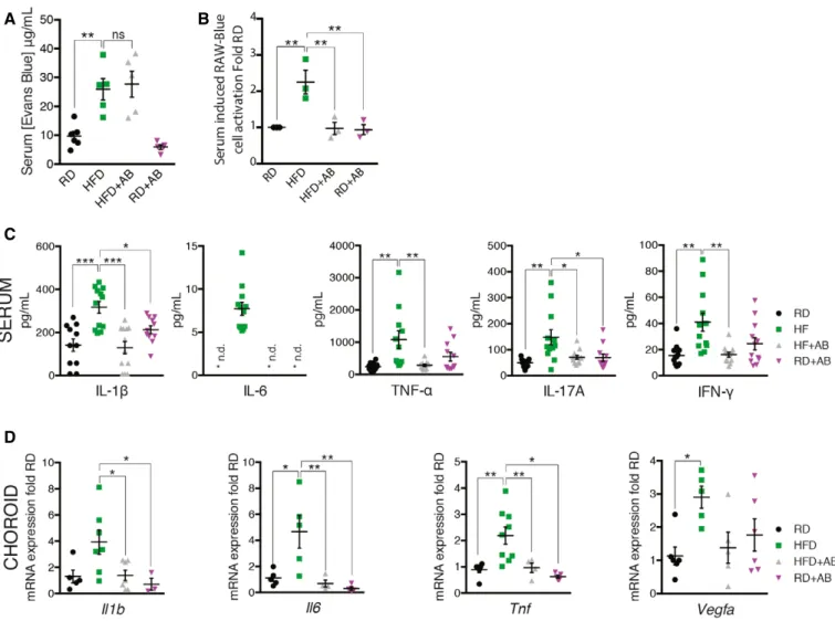 Figure 3 . High-fat diet augments gut permeability, metabolic endotoxemia, and systemic inflammation.