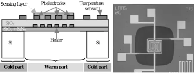Figure 1: Schematic and top of view of gas sensors with  platinum heater. 