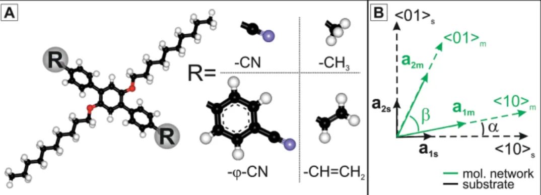 Figure 1.      A) Ball and stick model of the molecule with interchangeable functional groups: O atoms are shown in red, N atoms in blue, H atoms in  white, and C atoms in black