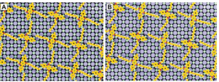 Figure 5.      A) Atomistic representation (see Figure  4 A) of a ML of CDB molecules on KCl(001)