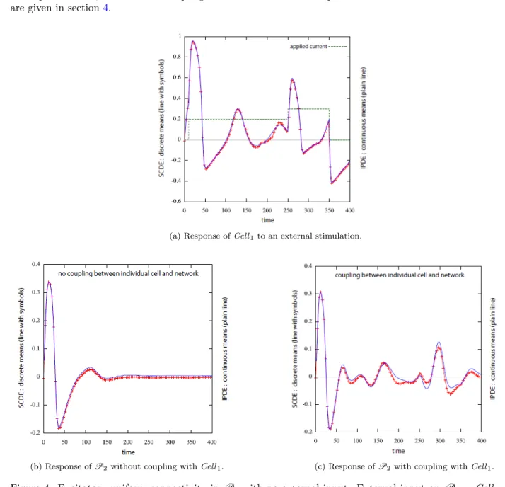 Figure 4: Excitatory uniform connectivity in P 2 with no external input. External input on P 1 = Cell 1 