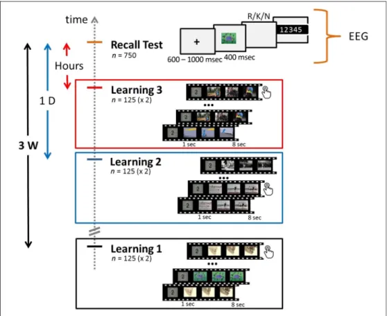 Figure 1. Experimental design.