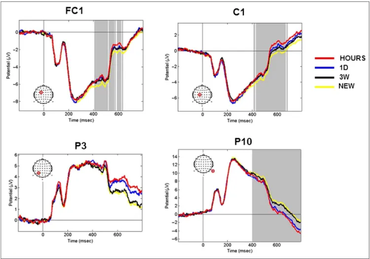 Figure 4. ERP topography for snapshots seen in the three learning sessions (HOURS, 1D, and 3W )