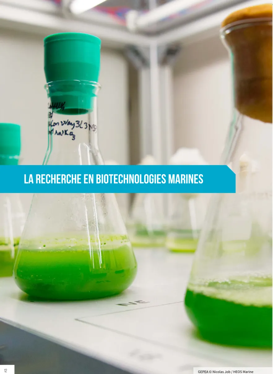 Figure 1 : Répartition au 1er janvier 2014 des personnes impliquées (300 scientifiques au  total) dans des projets de biotechnologies marines en Régions Bretagne et Pays de la Loire.