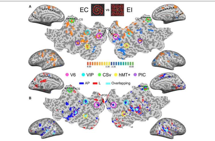 FIGURE 2 | Images from the brain of one participant showing the key results. (Top-center patches) Egomotion-consistent (EC) and egomotion-inconsistent (EI) optic flow patterns used as localizers stimuli