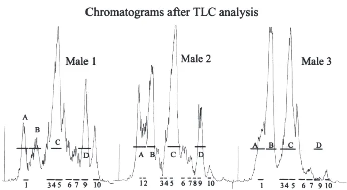 Fig. 1. Radiochromatogram after TLC analysis of spermiating testes of Micropogonias furnieri males 1, 2 and 3 after  toluene/cyclohexane 50/50 v/v (system I) and benzene/acetone 80/20 v/v (system II)