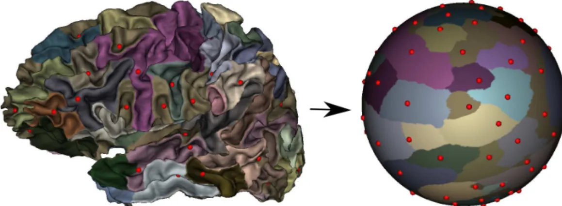Figure 1: Left: sulcal pits of one subject, represented on the cortical sheet. Right: after cortical registration to the template and projection to the common spherical space, in which inter-subject pits locations are compared.