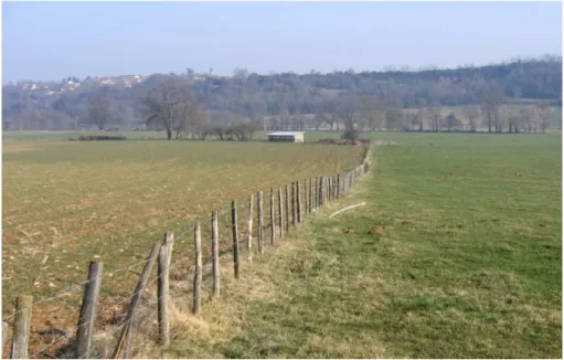 Figure 4 : Une parcelle agricole, une prairie : deux trajectoires biophysicochimiques différentes d’un même sol