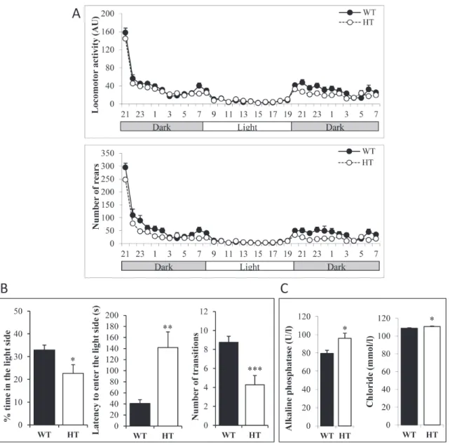 Figure 1: Behavioral abnormalities of heterozygous adult KI Alk F1178L  males.  A. Monitoring of locomotor activity and rears  during dark and light phases