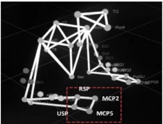 Figure 2 : Illustration de la reconstruction de la posture  de l'utilisateur en 3D. 