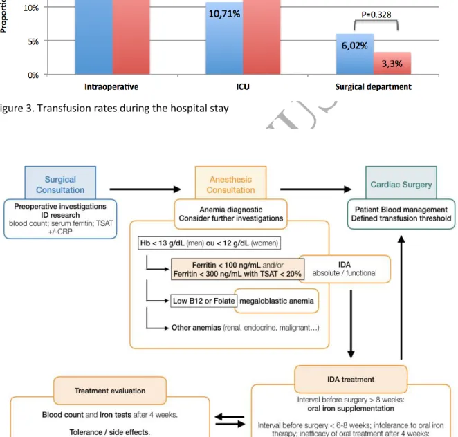 Figure 4. Proposition for a clinical pathway to address iron deficiency 