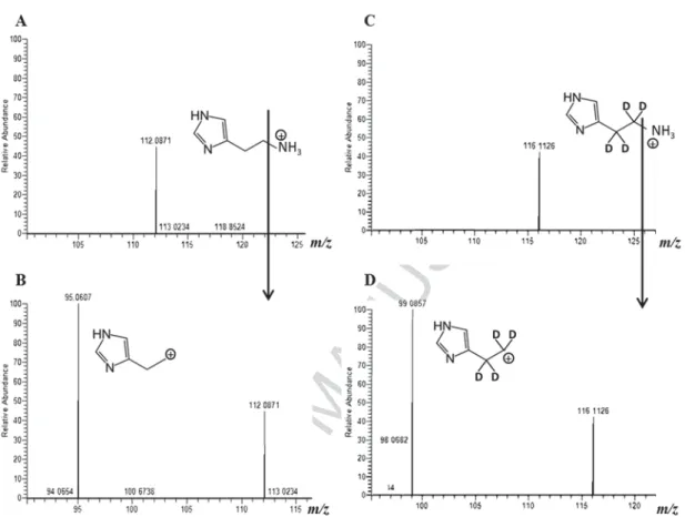Figure 1: Accurate mass spectra of the precursor and product ions of HA and HAd4. 