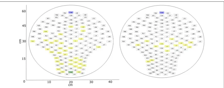 FIGURE 3 | fMEG sensor array with selected channels. Blue: default control channel; green: alternative control channel (if default is closer than 15 cm to brain channel); yellow: selected brain channels