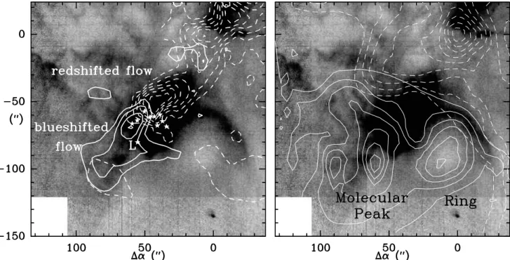 Fig. 1. (left) Map of the high-velocity outflow emission in the 12 CO(2-1) line (thick black contours) superposed on the map of the 13 CO(2-1) emission (thick white contours) and a [SII] image of the region (greyscale; Reipurth et al