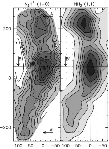 Fig. 1. N 2 H + (J:1–0) (left) and NH 3 (1,1) (right) integrated in- in-tensity maps. The dotted lines AA ′ and BB ′ indicate the profiles along which the velocity gradients are traced in Figs
