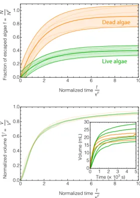 FIG. 2: Time-evolution of the fraction of cells escaping the foam f (top) and of the normalized volume V drained out of the foam (bottom) as a function of the normalized time t/⌧ F 