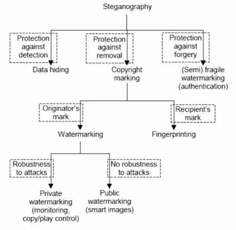 Figure 2.7: Types of steganography techniques [14]. 