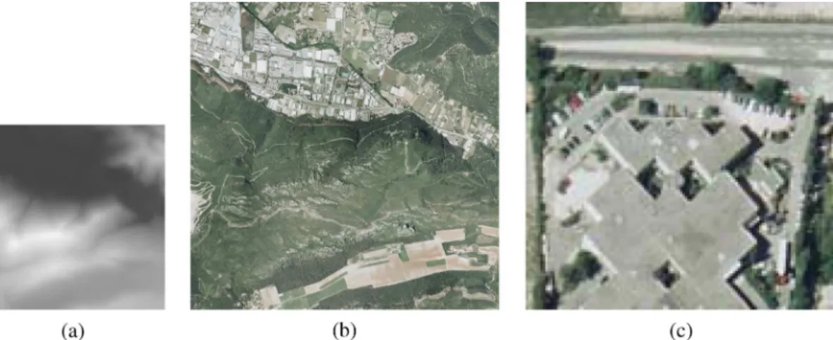 Fig. 7. Example images: (a) Original altitude map, (b) Original texture map, and (c) a part of texture magnified.