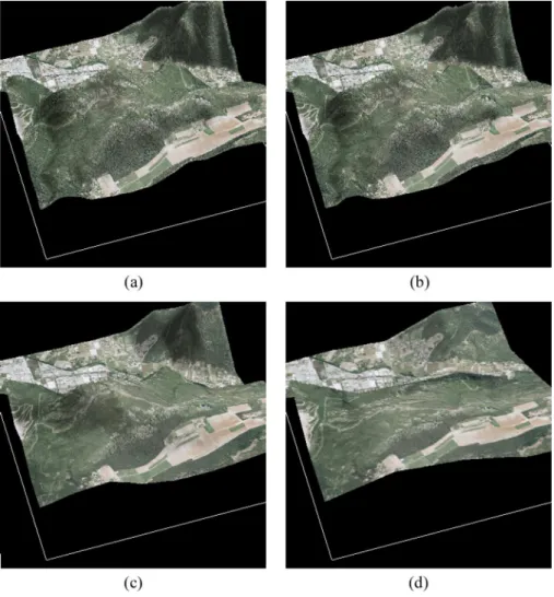 Fig. 16. The 3-D visualization with the approximation images at various levels. (a) Level 0 (all the data), (b) Level 1, (c) Level 3, and (d) Level 4.