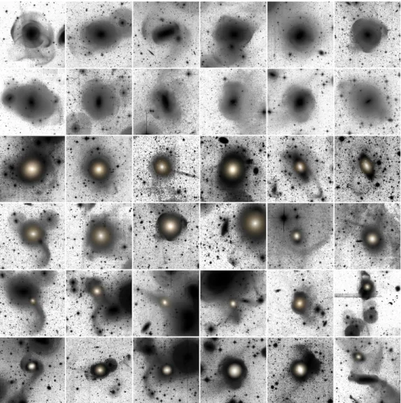 Figure 3. Various types of identified and classified fine structures in the MATLAS survey