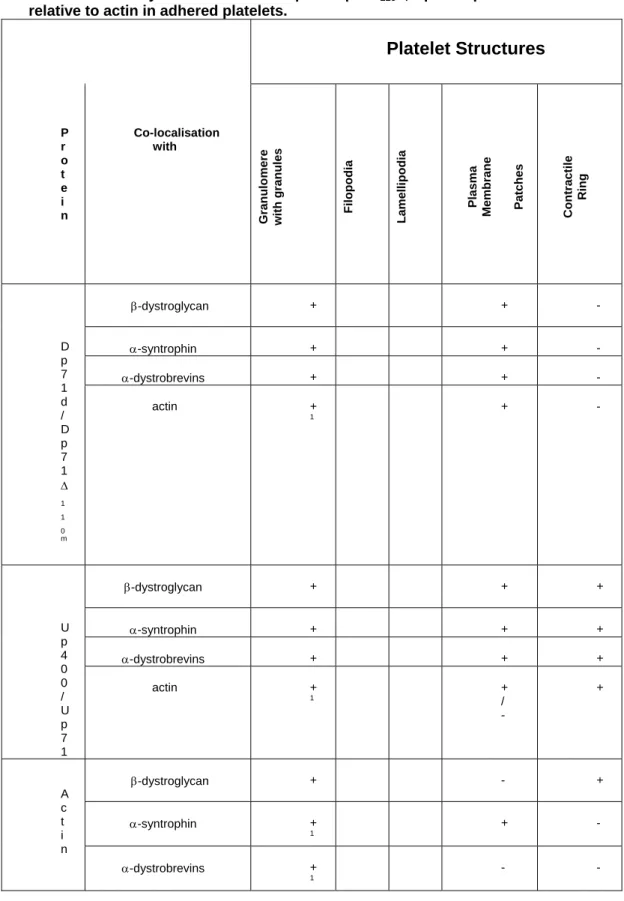 Table 2. Summary of distribution of Dp71d/Dp71Δ 110 m , Up400/Up71 and DAPs  relative to actin in adhered platelets