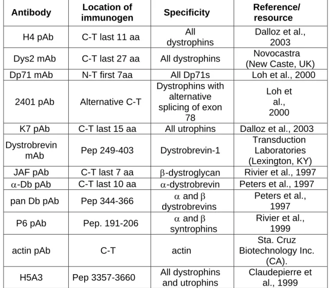 Table 1. Characteristics of the antibodies.  