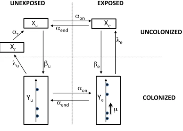 Figure 1: Schematic description of the compartmental model, with the respec- respec-tive transition rates