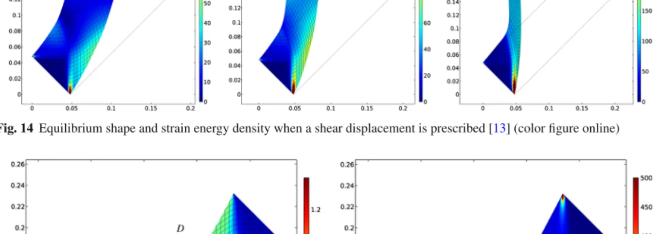 Fig. 14 Equilibrium shape and strain energy density when a shear displacement is prescribed [13] (color figure online)