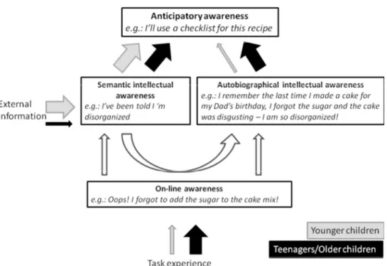 Figure 4:  Autobiographical awareness mediated by on-line experience model.  