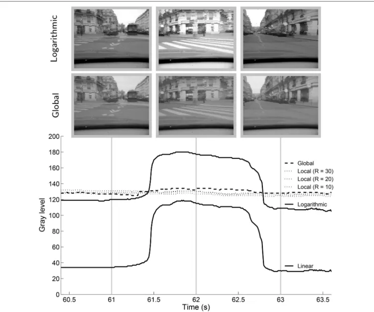 FIGURE 9 | Median of the gray-levels of for a portion of the “city” video for different tone mapping algorithms