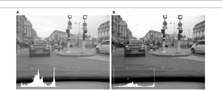 FIGURE 4 | Logarithmic tone mapping with increasing percentage of high and low values excluded from scaling