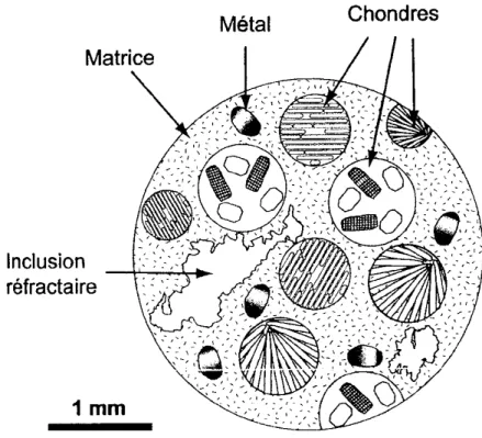 Fig. 1.9 – Sch´ematique de la composition d’une m´et´eorite chondritique. (D’apr`es Beck (2005))
