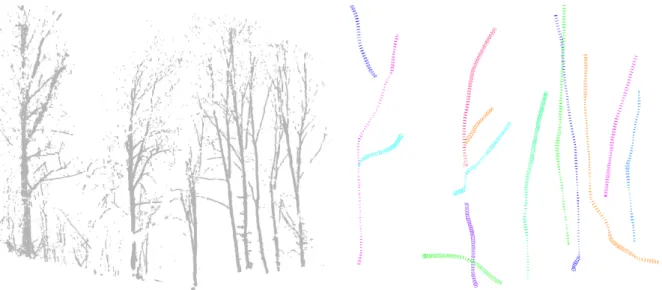 Figure 7: Modélisation de tiges d’arbres en environnement naturel. Gauche : nuage de points en entrée