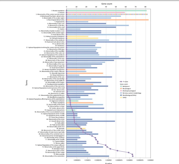 Figure 3 Human phenotype categories associated with ASD genes. ASD genes (n = 112) were analyzed for enrichment in human phenotypes using ToppGene with a Bonferonni corrected P value cutoff of 0.01