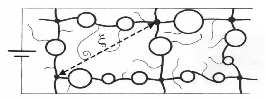 Figure 1: Modèle Liens-Nœuds-Bulbes représentant la structure simplifiée du backbone dans la  théorie de la percolation