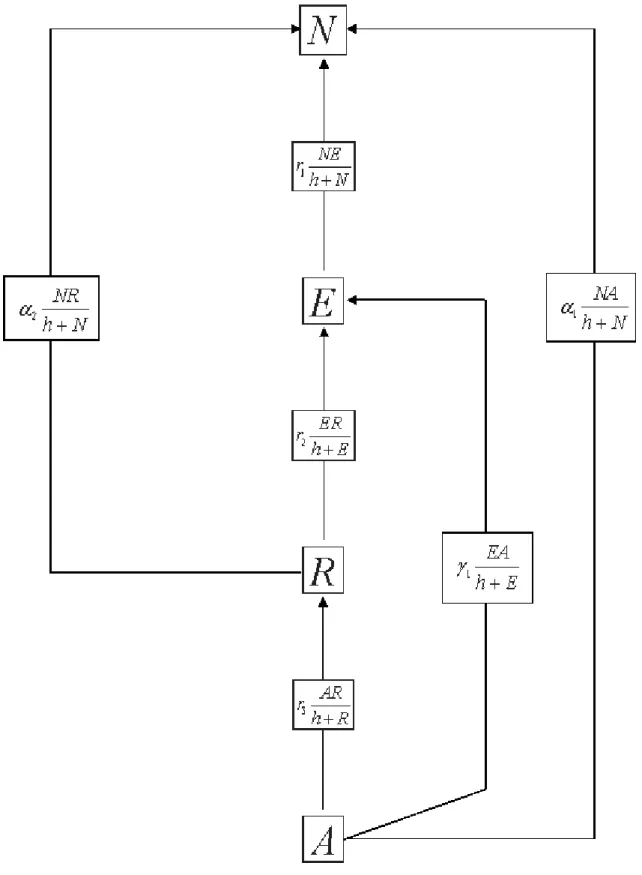 FIG. 1: Schematic representation of the predator-prey NERA model.