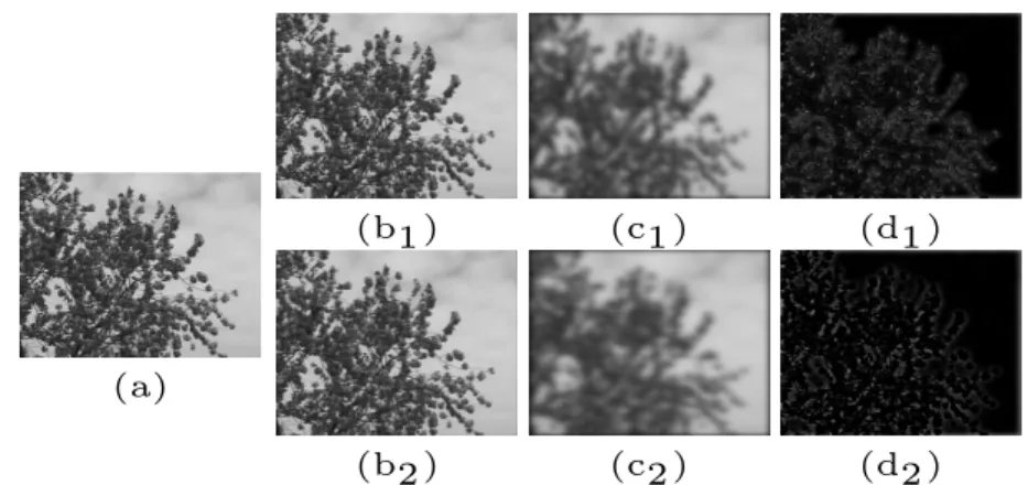 Fig. 1. A sample of Gaussian filterings. (a) is an input gray-scale frame in a DT video.