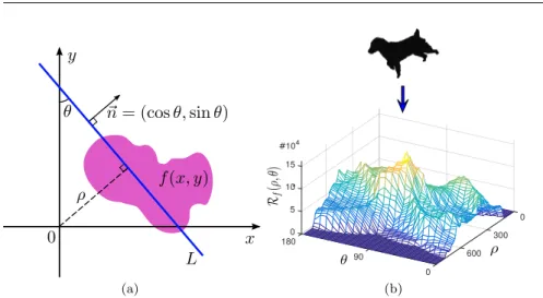 Fig. 1: : (a)- Graphical illustration of the Radon transform of a function f (x, y); (b)- A dog shape D and its representation in the projection space.