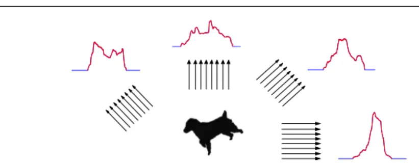 Fig. 2: A dog shape D and its projections in different directions: 0, π 4 , π 2 , 3π 4 