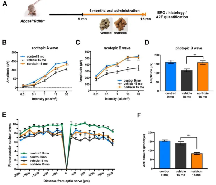 Figure  5.  Effect  of  norbixin  early  curative  supplementation  from  9  to  15  months  in  Abca4 -/-  Rdh8 -/-   mice