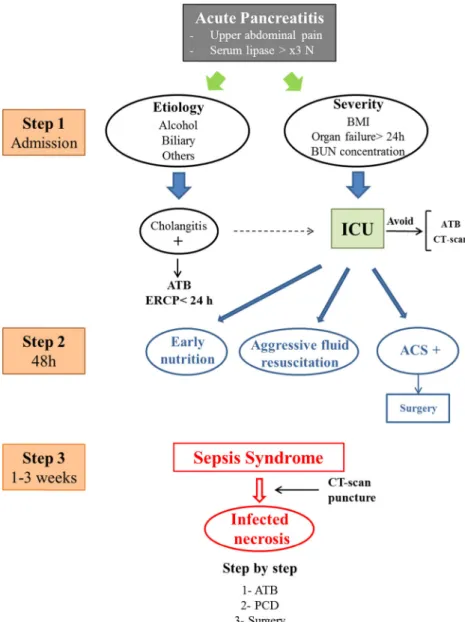 Fig. 1 Management of severe pancreatitis. BMI body mass index, ATB antibiotics, ERCP endoscopic retrograde