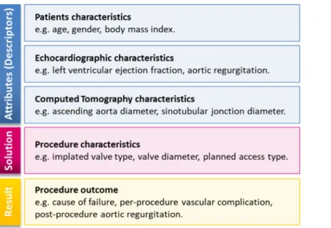 Fig 1. Three attribute categories of a clinical case in the TAVI database.